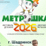 15 шадринских команд будут бороться за призы «Метрошки». - Администрация г. Шадринска