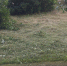 Жители Курского района возмущены бездействием управляющей компании - KurskTV.Ru