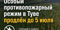 Особый противопожарный режим в Туве продлен до 5 июля 2026 года - Служба государственной жилищной инспекции