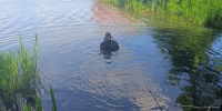 В Пензе поиски мужчины в Суре у Русеевского пляжа пока не дали результата - Stolica58.Ru