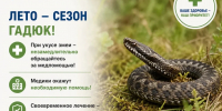 Лето — время повышенной активности змей - Министерство здравоохранения