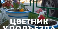 Жители Нового Уренгоя озеленяют город - Телевидение Импульс