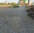 img - ЛДПР