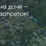 Поделитья во ВКонтакте - Братская Студия Телевидения