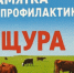 Внимание! Ящур: меры профилактики и защиты животных. - Юргамышский муниципальный округ