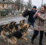 В Иркутской области узаконили умерщвление безнадзорных животных - ZAB.RU