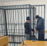 Забайкальца отправили в колонию за убийство фельдшера в Иркутской области - Забайкальский рабочий