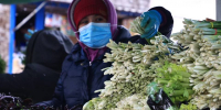 Волгоградцев предупредили об опасности свежей зелени и салатов - Газета Городские вести