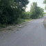 В Котельниче пьяный водитель мопеда врезался в дерево - ГТРК Вятка