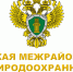 Постановлением Правительства Российской Федерации  от 30.05.2026 № 652 утверждены новые Правила санитарной безопасности  в лесах - Главное управление лесного хозяйства