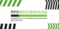 Студент из Вологды представит регион на чемпионате «Профессионалы» в Казани - Вологда.РФ
