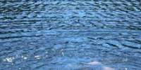 В Уфе наградят спасателя, отвоевавшего у воды двух человек - Башинформ