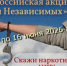 Сотрудники полиции примут участие в общероссийской акции «Время Независимых» - ОМВД "Назаровский" 