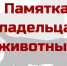 Важная информация для владельцев животных. - Шумихинский муниципальный округ