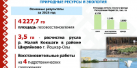 Статистика 17.06.26 - Марийская правда