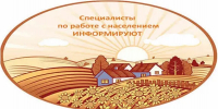 Библиотурнир «Страны моей лицо живое» - Городской округ город Первомайск