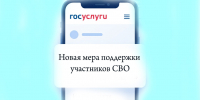На Госуслугах доступна новая мера поддержки участников СВО - Народное слово