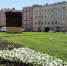 В Петербурге к запланированным 80 гектарам новых зеленых зон добавят еще 1,3 гектара - Spbdnevnik.ru