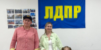 img - ЛДПР