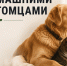 В Тамбовской области действуют требования к содержанию и выгулу домашних животных.. - Жердевский муниципальный округ