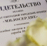 В Иванове поздравили и наградили медицинских работников - ГТРК