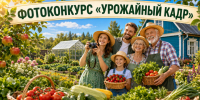 Урожайный кадр: жители Елабуги могут показать свои сады и огороды - Газета Новая Кама