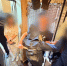 В Тахтамукайском районе Адыгеи расследуется уголовное дело по факту убийства - ИА Адыгея Сегодня