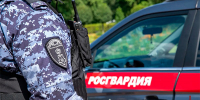 Московские росгвардейцы задержали рецидивиста за попытку повторной кражи алкоголя - Росгвардия