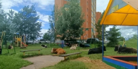 На улице Кибальчича быки вместе с коровами оккупировали детскую площадку - Калужский перекрёсток