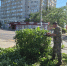 В Астрахани продолжаются работы по опиловке и обрезке деревьев и кустарников - Администрация города
