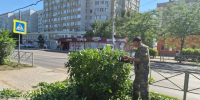 В Астрахани продолжаются работы по опиловке и обрезке деревьев и кустарников - Администрация города