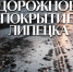 Состояние дорог в Липецке обсудили Игорь Артамонов и врио мэра Михаил Щербаков - Народное слово