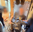 В Адыгее расследуется уголовное дело по факту убийства мужчины - Следственный комитет