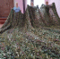 xxqGIphmYFwlVcorasQVRxhyhNbwiDLt6DuvY-SdQziSmTh45J5naOYVPndhtjzjQCuKeQv3uMTfPvrbGuLIcvQx - Управление культуры и туризма