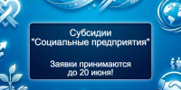 Субсидии «Социальные предприятия» - Комитет по развитию малого, среднего бизнеса и потребительского рынка