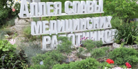 На белгородской областной Аллее Славы медработников появились 3 новых имени - БелПресса