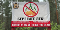 Фото предоставлено министерством природных ресурсов и ЛПК Архангельской области - Пресс-центр Правительства