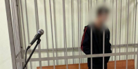 Суд решит судьбу подростка, который пытался зарезать своих бабушку и дедушку в Сясьстрое - 47 новостей