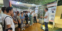 Живая летопись мужества представлена на выставке “Родина Zа нами”. - Наша сила в единстве:  спецоперация Своих не бросаем! - Газета Грани