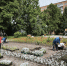 Фото: Luki-News - InformPskov.Ru