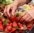 Самые калорийные продукты: что чаще всего приводит к набору веса - Peterburg2.Ru