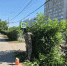 IMG_20260617_212817_733 - Сетевое издание Арбуз