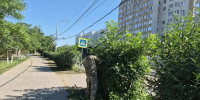 IMG_20260617_212817_733 - Сетевое издание Арбуз