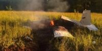 МЧС ликвидировало пожар на месте падения самолета в Вихрево - MosRegToday.Ru