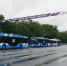 Видео: в Петербурге стартовал конкурс «Лучший водитель троллейбуса» - Spbdnevnik.ru