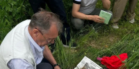Практика — неотъемлемая часть подготовки любого специалиста! - Верхневолжский ГАУ