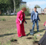 Кусты роз из Донбасса: символ единства и поддержки на аллее центра «Защитник» - Министерство труда и занятости
