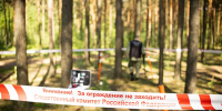 Под Бологое СК и прокуратура устанавливают законность вырубки леса у Будущего - Газета Вся Тверь