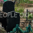 Медведи на городском кладбище в Охе группа ВК PEOPLE OKHA (18+) - SakhalinMedia.Ru