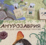 «Амурозаврия» уже в деле: школы и библиотеки Благовещенска играют в динозавров - Администрация г. Благовещенск